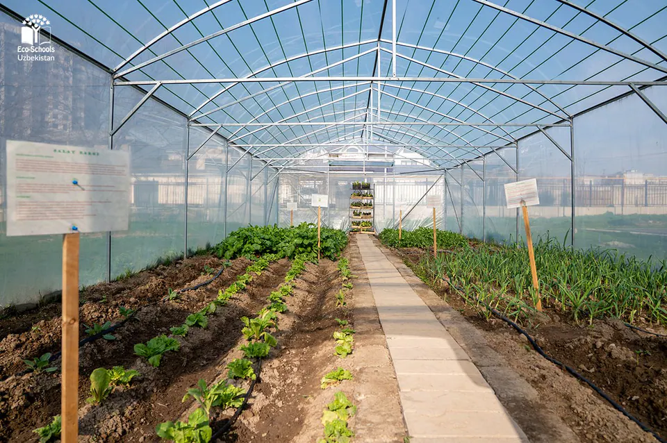 A school greenhouse built under the Young Farmers project.