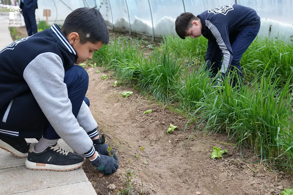Young Farmers: students tending their school garden.